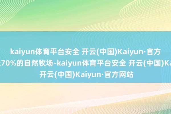 kaiyun体育平台安全 开云(中国)Kaiyun·官方网站坐拥荷兰近70%的自然牧场-kaiyun体育平台安全 开云(中国)Kaiyun·官方网站