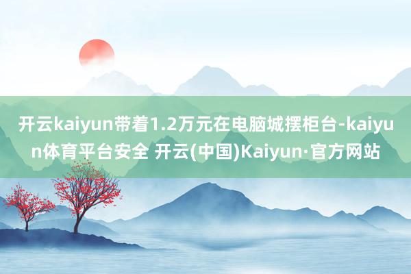 开云kaiyun带着1.2万元在电脑城摆柜台-kaiyun体育平台安全 开云(中国)Kaiyun·官方网站