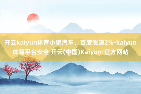 开云kaiyun体育小鹏汽车、百度涨超2%-kaiyun体育平台安全 开云(中国)Kaiyun·官方网站