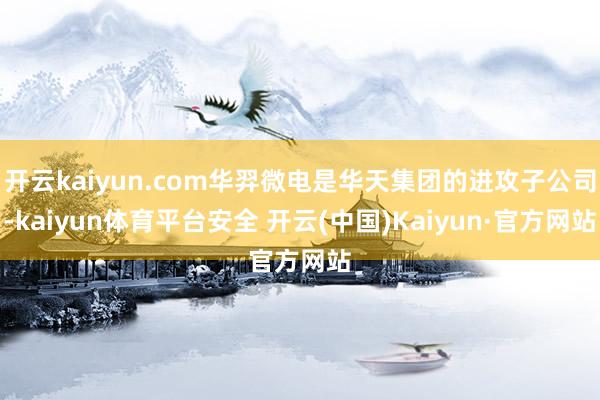开云kaiyun.com华羿微电是华天集团的进攻子公司-kaiyun体育平台安全 开云(中国)Kaiyun·官方网站