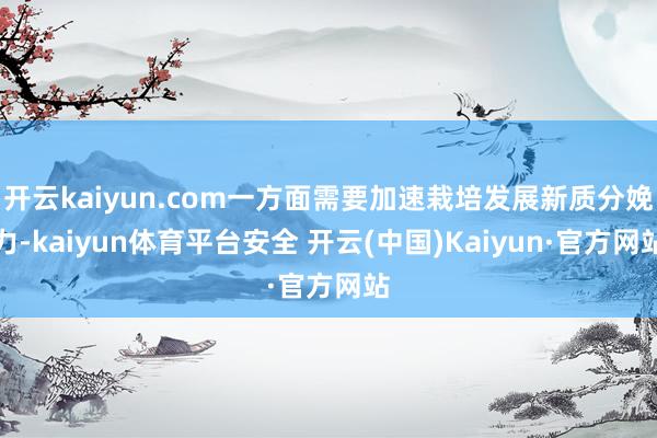 开云kaiyun.com一方面需要加速栽培发展新质分娩力-kaiyun体育平台安全 开云(中国)Kaiyun·官方网站