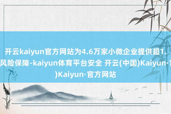 开云kaiyun官方网站为4.6万家小微企业提供超1.1万亿元风险保障-kaiyun体育平台安全 开云(中国)Kaiyun·官方网站