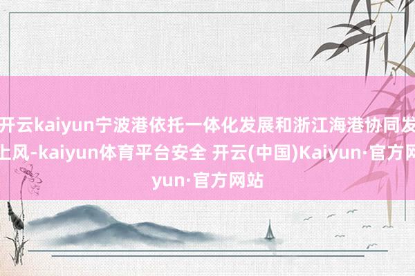 开云kaiyun宁波港依托一体化发展和浙江海港协同发展上风-kaiyun体育平台安全 开云(中国)Kaiyun·官方网站