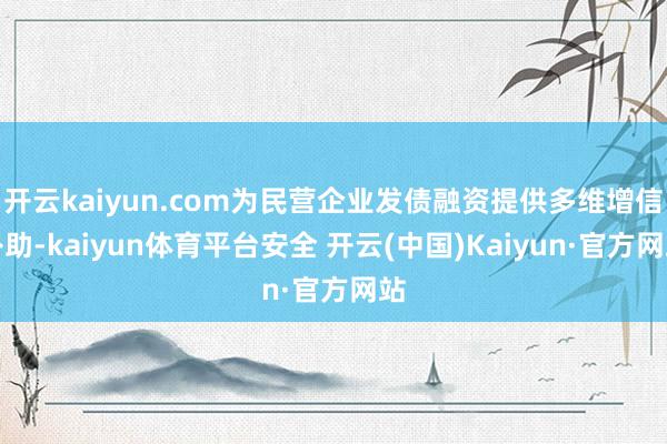 开云kaiyun.com为民营企业发债融资提供多维增信补助-kaiyun体育平台安全 开云(中国)Kaiyun·官方网站